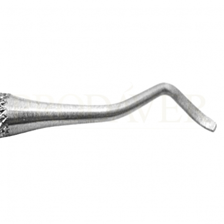 detalhe de descarnador tamponade. corpses, mortuary.